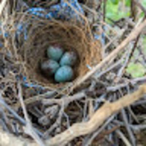 Meet your Posher, Claire